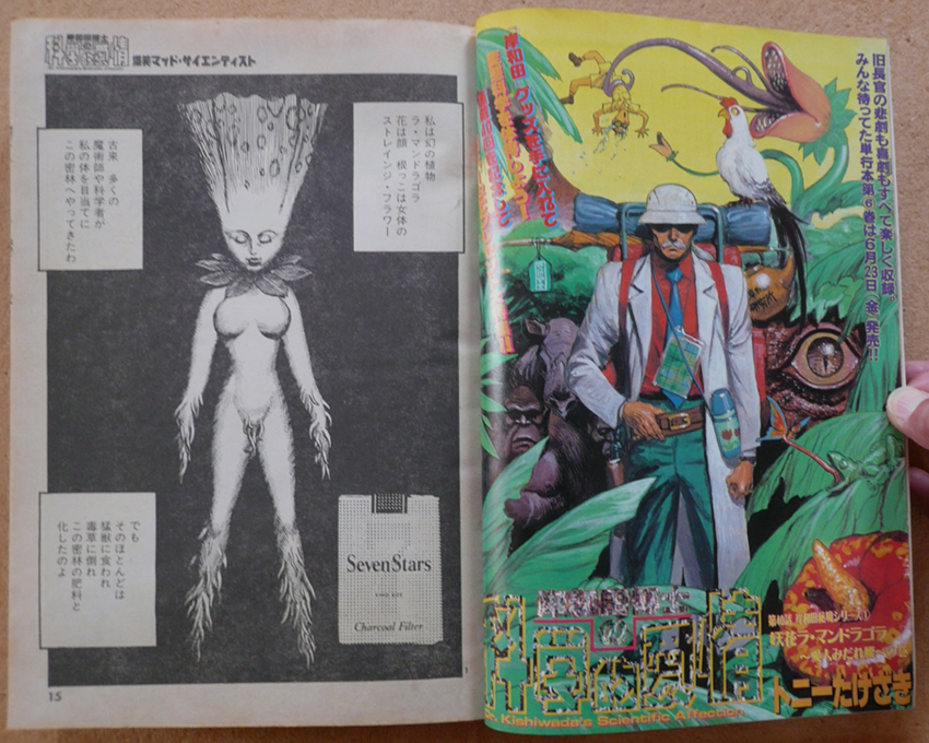 □ 月刊アフタヌーン 1995年7月号 / 松森正 星野之宣 植芝理一 □ 月刊アフタヌーン 1995年7月号 / 松森正 星野之宣 植芝理一
