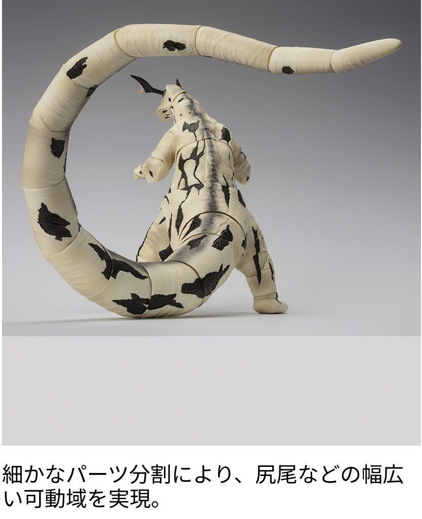 見本寫真