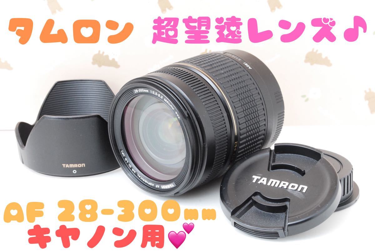 掘り出し物を検索。 TAMRON 28-300㎜ CanonEF-M用望遠レンズ | www