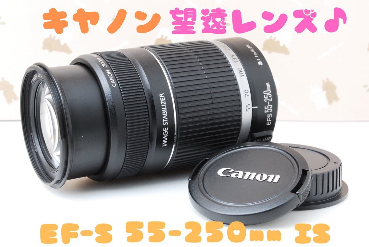 安価 美品☆望遠レンズ☆Canon EF-S IS☆手ぶれ補正つきレンズ☆秋冬の