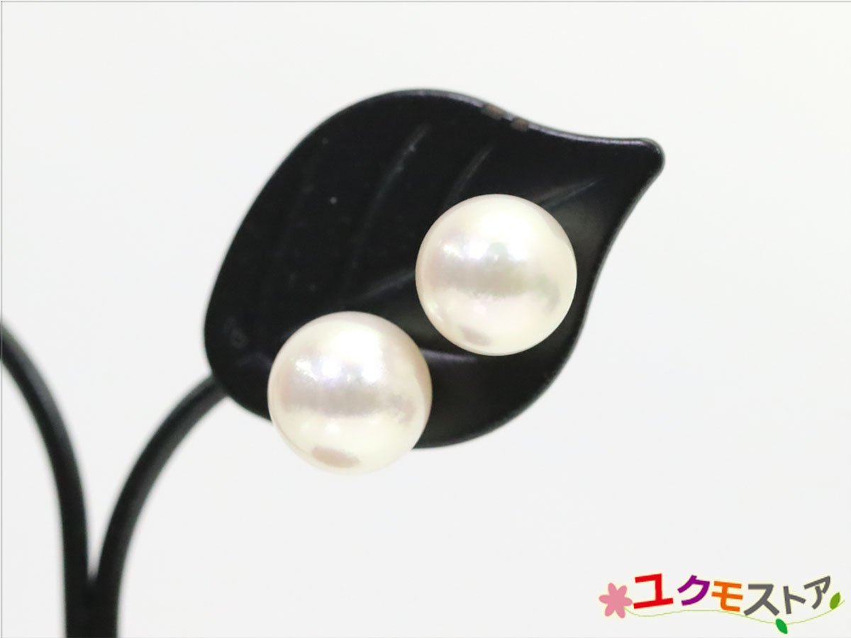 ギフト】 ピアス ロング セミ ピアス 真珠 白蝶 南洋 花珠 ナチュラル