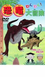 わくわく!恐竜大冒険 中古 DVD ケース無_画像1