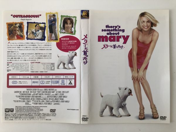 B20073　中古DVD(セル版）◆メリーに首ったけ　ケースなし_画像1