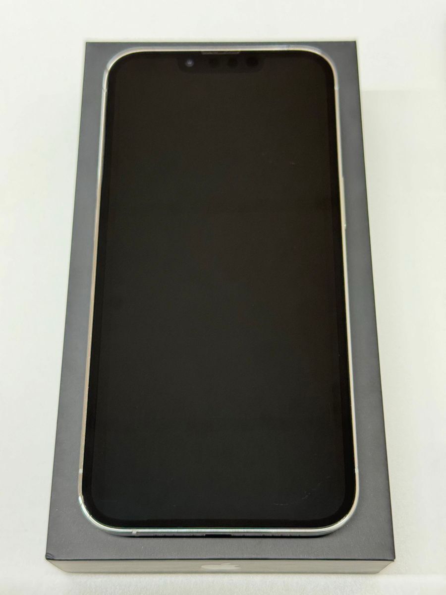 iPhone 13 Pro 256GB Silver SIMフリー 美品！ バッテリー容量96% コーティング済み iOS16.7