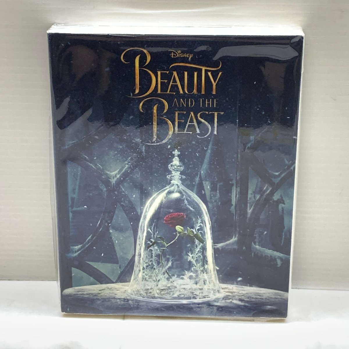 MIN【現状渡し品】 洋書 Disney Beauty and the Beast Novelization Elzabeth Rudnick ディズニー 書籍 本 〈5-230901-MT-22-MIN〉_画像1