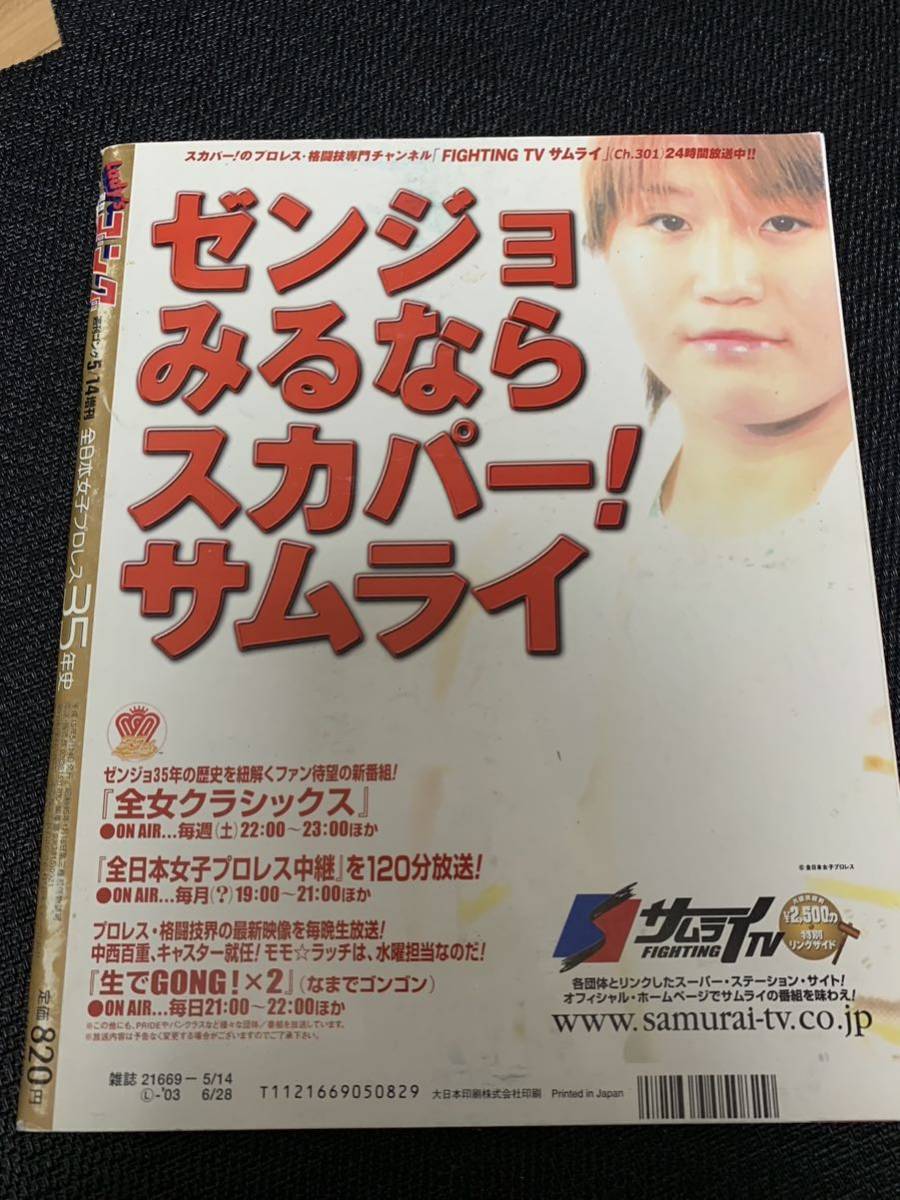 全日本女子プロレス35年史 - 趣味