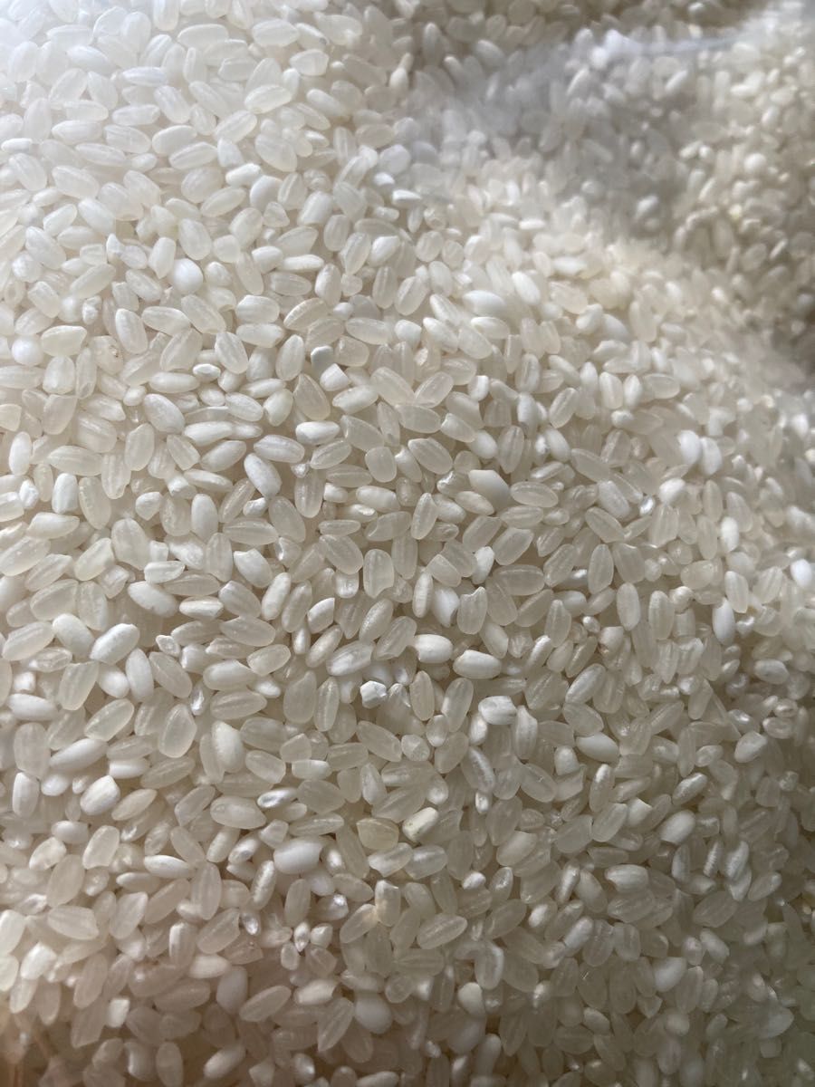 コスパ米20kg(5kg×4袋)お米 白米【令和5年新米入】｜PayPayフリマ
