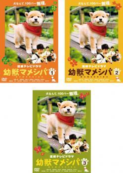 連続テレビドラマ版 幼獣マメシバ 全3枚 第1話～最終話 レンタル落ち 全巻セット 中古 DVD_画像1