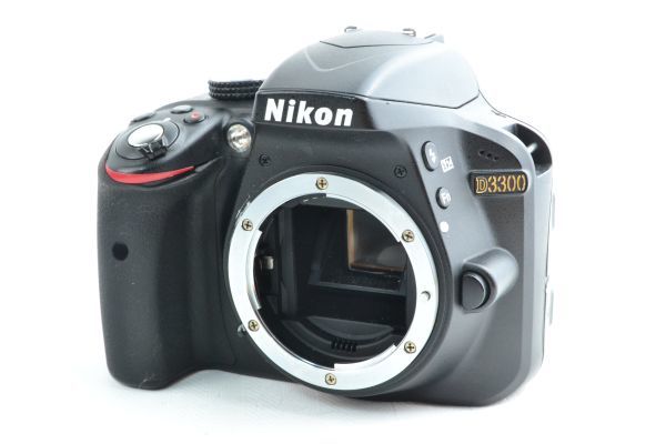 雑誌で紹介された ☆実用美品☆NIKON ニコン シャッター回数21611