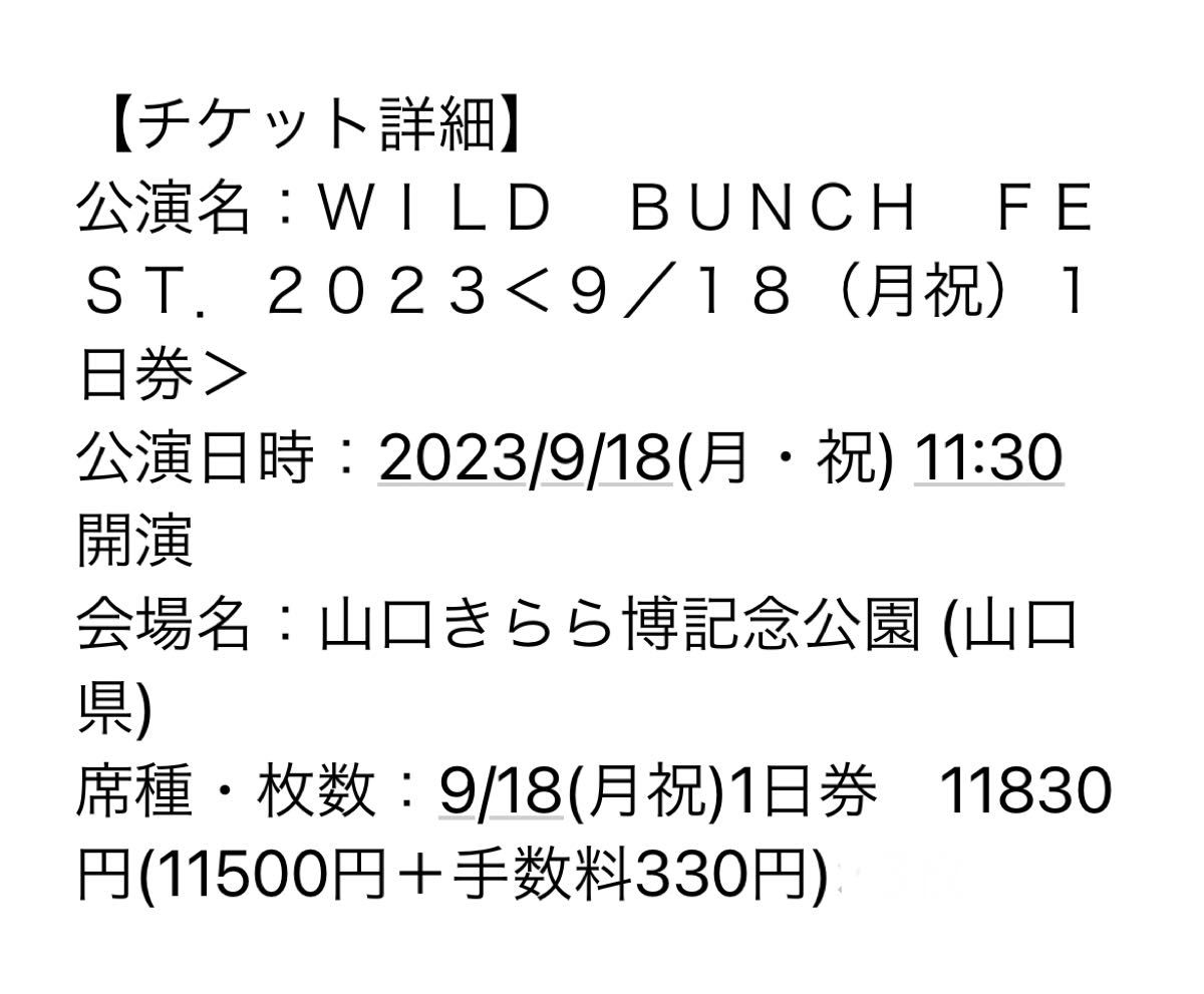 ワイルドバンチ 2023 09 18 チケット 1枚|PayPayフリマ