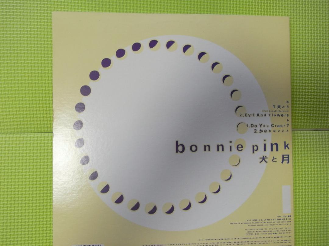 BONNIE PINK 犬と月_画像1