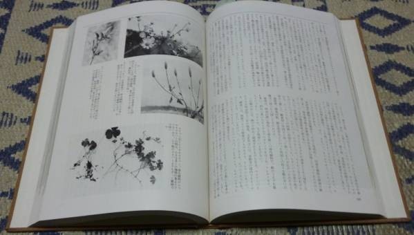 兵庫探険 全6冊 神戸新聞 兵庫探険 全6冊 神戸新聞