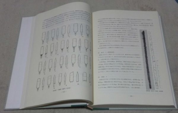 メスリ山古墳　奈良県史跡名勝天然記念物調査報告　第35冊　奈良県立橿原考古学研究所　編　奈良県教育委員会　メスリ山　古墳　　　　_画像3