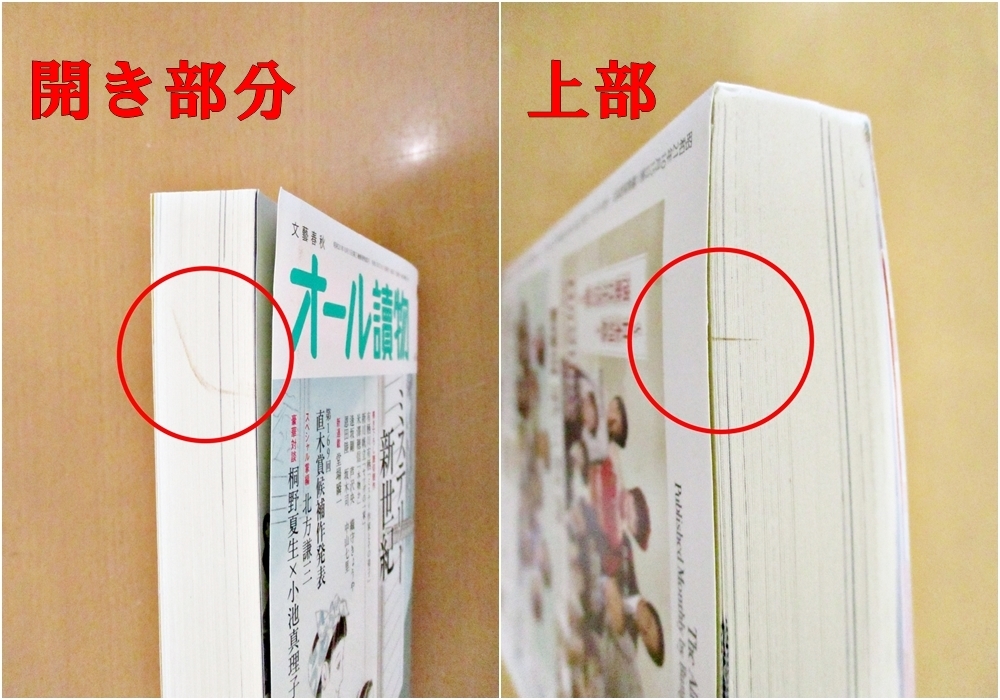 ★918【送料無料】2冊セット オール読物 小説すばる 文藝春秋 集英社 2023年7月号 文芸 月刊 小説雑誌 現代 エッセイ コラム 特集 A5_画像6