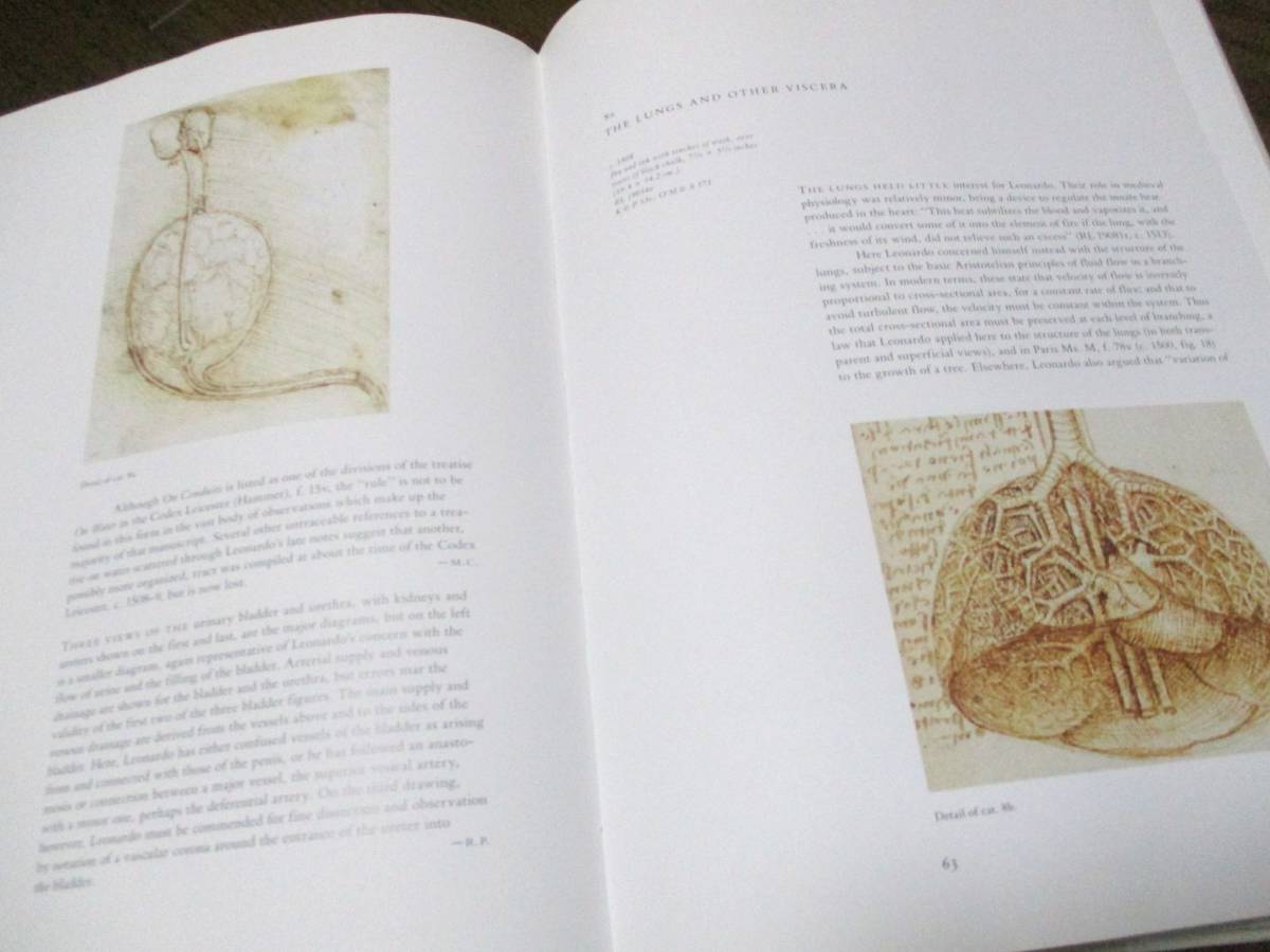 Leonardo Da Vinci レオナルドダヴィンチ　コレクション　人体解剖図【大型本】◇洋書　写真集 人体解剖図　アナトミー医学美術アート_画像4