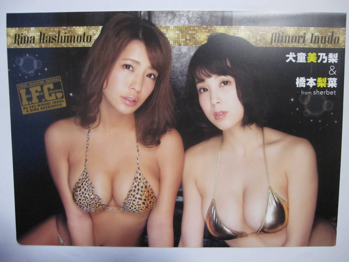ヤフオク クリアファイル 橋本梨菜 犬童美乃梨 新品未使用品 ヤフオク クリアファイル 橋本梨菜 犬童美乃梨 新品未使用品