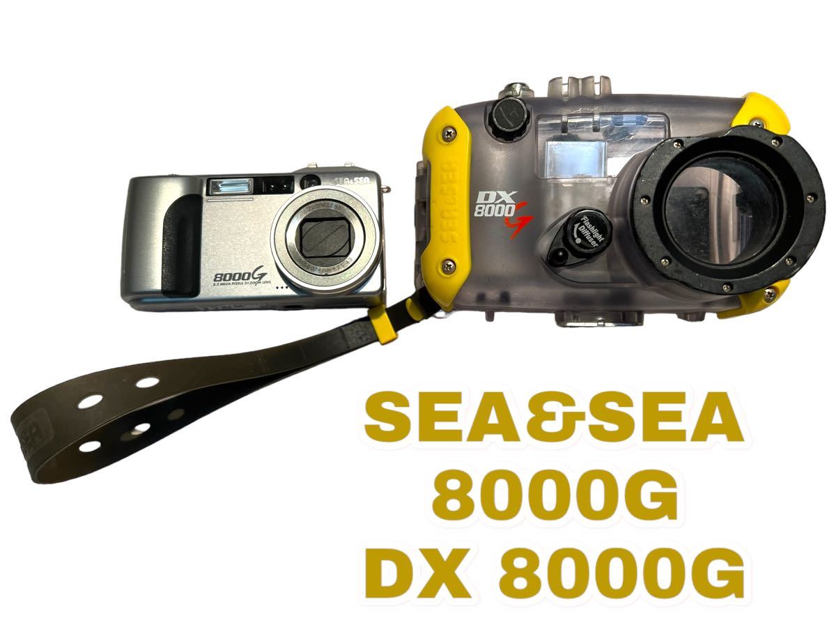 SEA＆SEA 8000G DX8000G デジタルカメラ 水中用ケース シー＆シー スキューバダイビング セット まとめ売り