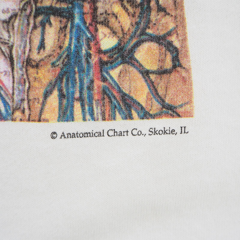 90s Anatomical Chart T-shirt human body model Cart ko bar nvintage Vintage rare ultra rare 
