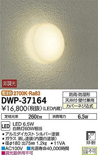 大光電機（ＤＡＩＫＯ） アウトドアライト 【LED内蔵】 LED 6.5W 電球色 2700K DWP-37164(中古品)　(shin