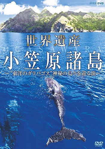 世界遺産 小笠原諸島 “東洋のガラパゴス”神秘の島々を巡る旅 [DVD](中古品)　(shin_画像1