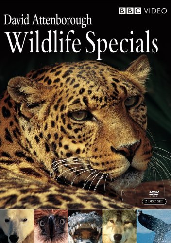 Wildlife Specials [DVD](中古 未使用品)　(shin_画像1