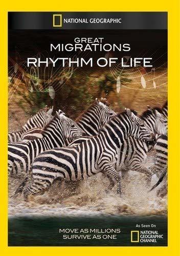 Great Migrations: Rhythm of Life [DVD](中古 未使用品)　(shin_画像1