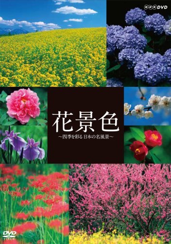 花景色~四季を彩る 日本の名風景~ [DVD](中古品)　(shin_画像1
