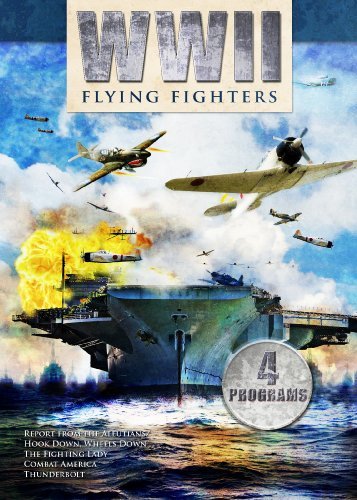 World War II Series: Flying Fighters [DVD](中古品)　(shin_画像1
