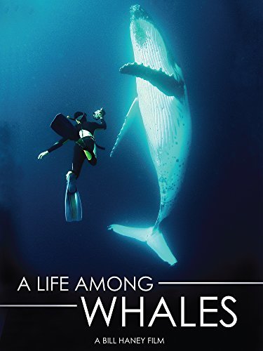 Life Among Whales [DVD](中古 未使用品)　(shin_画像1