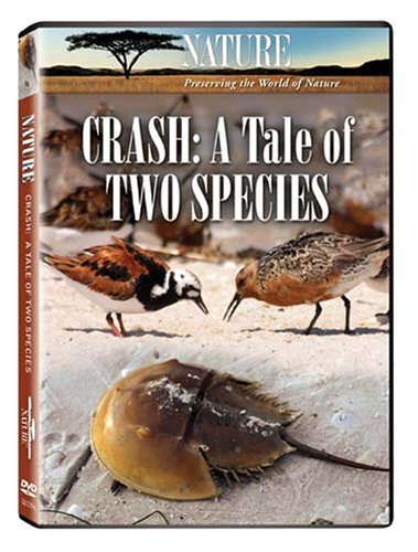 Nature: Crash - A Tale of Two Species [DVD](品)　(shin