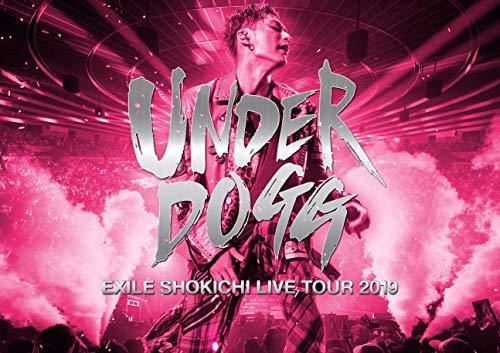 EXILE SHOKICHI LIVE TOUR 2019 UNDERDOGG(DVD2枚組)(中古品)　(shin_画像1