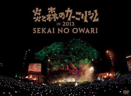 炎と森のカーニバル in 2013 [DVD](中古 未使用品)　(shin_画像1