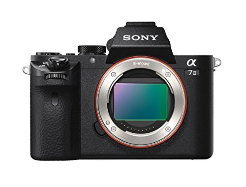 数々のアワードを受賞】 Mirrorless a7II Alpha Sony Digital 未使用品