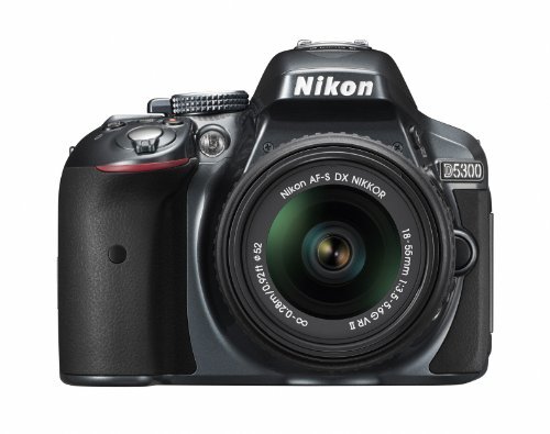 Nikon デジタル一眼レフカメラ D5300 18-55mm VR II レンズキット グレー 2400万画素 3.2型液晶 D5300LK18-55VR2GY(中古品)　(shin