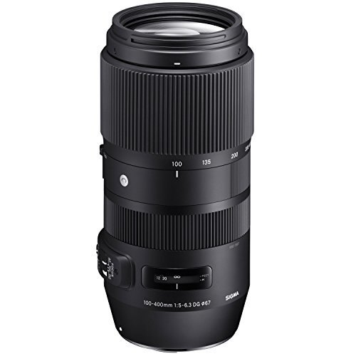 SIGMA 100-400mm F5-6.3 DG OS HSM | Contemporary C017 | Nikon F-FXマウント | Full-Size/Large-Format(中古品)　(shin_画像1