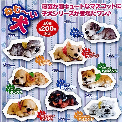 ねむーい犬 全8種セット ビーム ガチャポン(中古 未使用品)　(shin_画像1