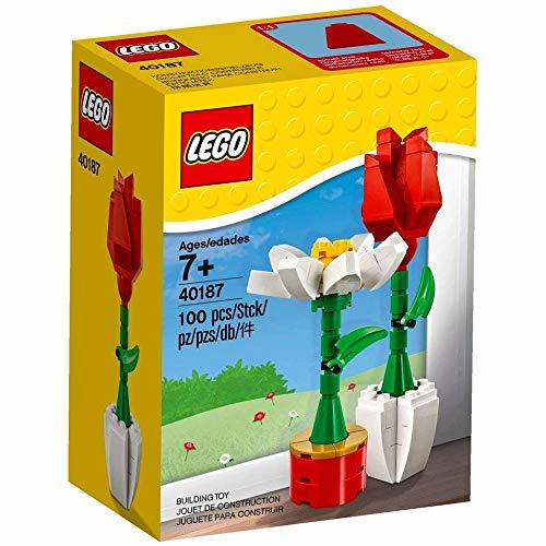 LEGO Flower Display (40187) 100 Piece Set(中古品)　(shin_画像1