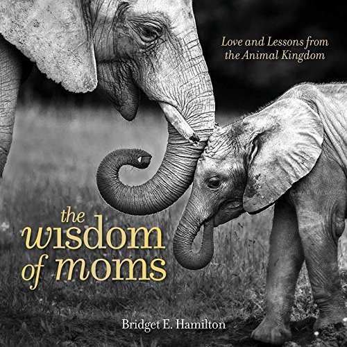The Wisdom of Moms: Love and Lessons From the Animal Kingdom　(shin_画像1