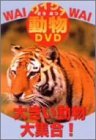 ワイワイ動物DVD 大きい動物大集合!(中古品)　(shin_画像1