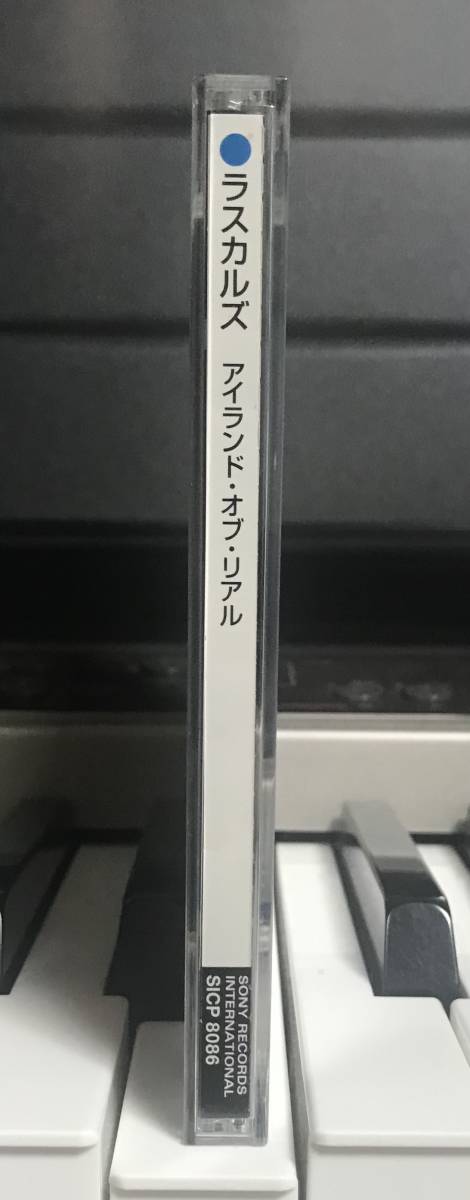 ラスカルズ　The Rascals アイランド・オブ・リアル　The Island Of Real CD 国内盤_画像6