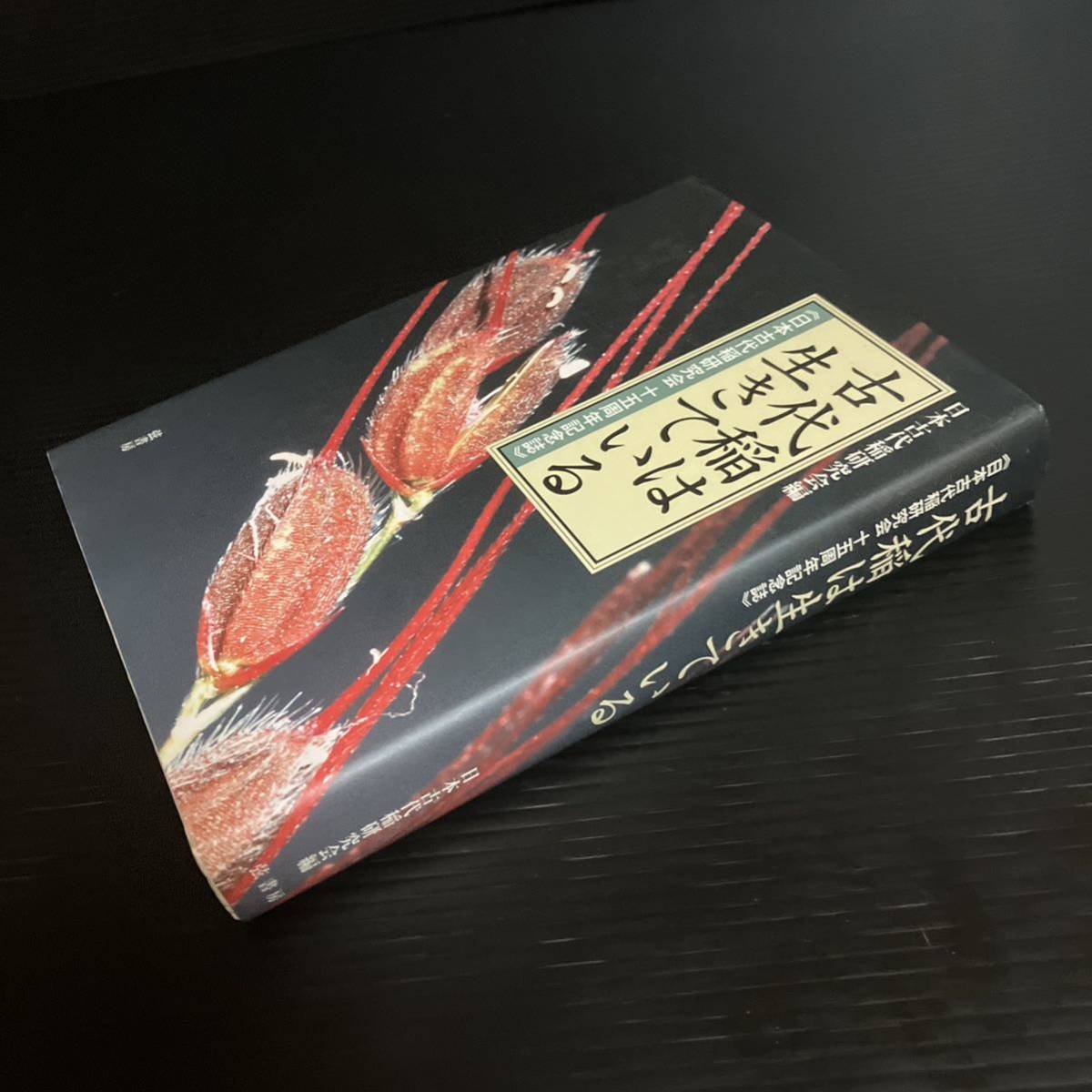 コンビ占い+WaveReadingArtによるHealingSessionCD+選定Card - 占い コンビ占い+WaveReadingArtによるHealingSessionCD+選定Card - 占い
