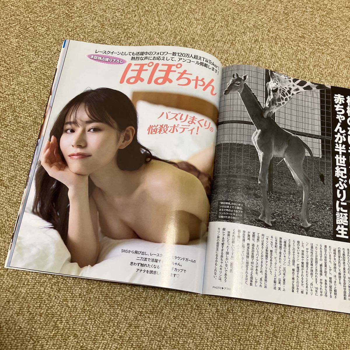 item_image_8