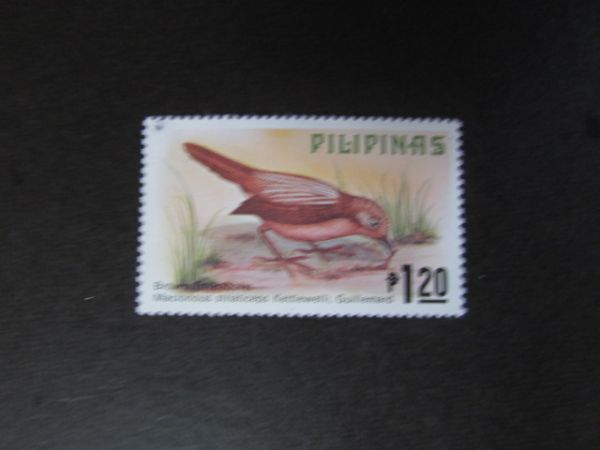 ⑩動物コレクション 鳥；ヒタキ科；チメドリ フィリピン 1種 1979.4.16の画像1
