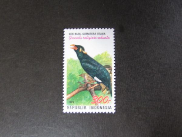⑩動物コレクション　鳥；ムクドリ科；キュウカンチョウ　インドネシア　1種　1993.11.5_画像1