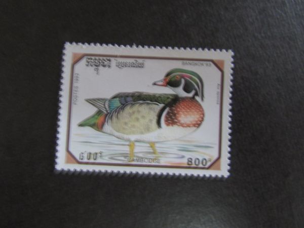 ⑪動物コレクション　鳥；ガン・カモ科；アメリカオシドリ　カンボジア　1種　1993.10.1_画像1