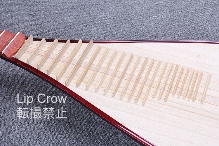  China musical instruments biwa musical instruments tools and materials traditional Japanese musical instrument 