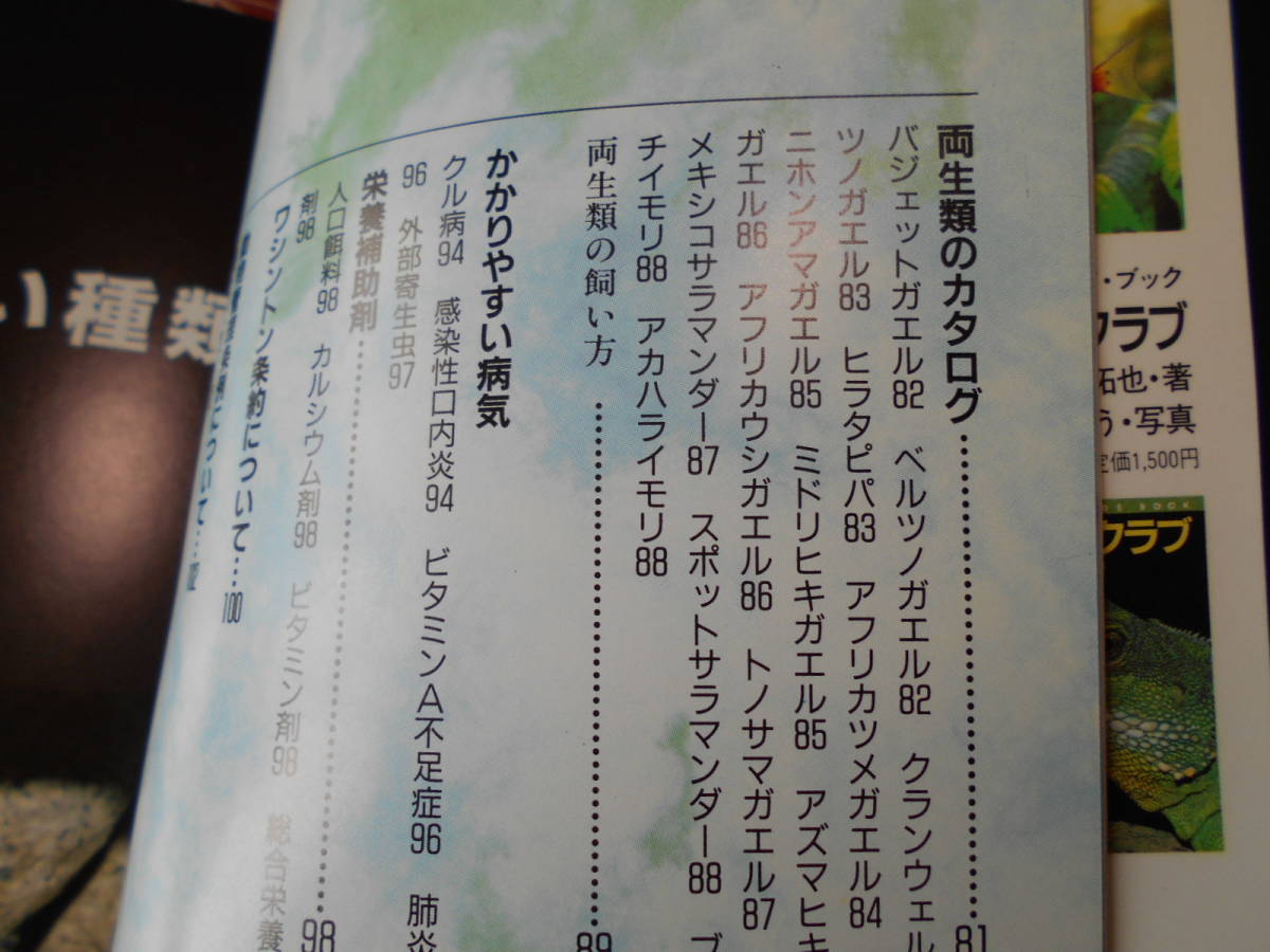 ★爬虫類クラブ―爬虫類&両生類の飼い方 (カラー・ガイド・ブック)長坂拓也(著),内山りゅう★昔の絶版の本でしょうか、、、写真満載_画像3