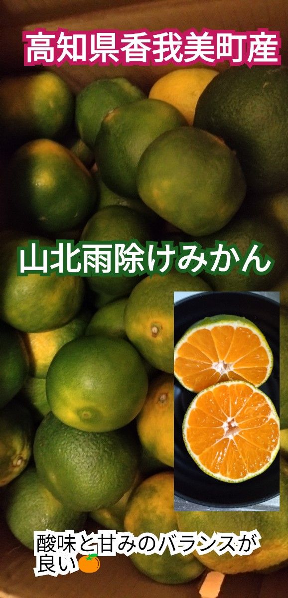 ※高知県香我美町産　山北雨除けみかん　S-Lサイズ　2kg 送料無料