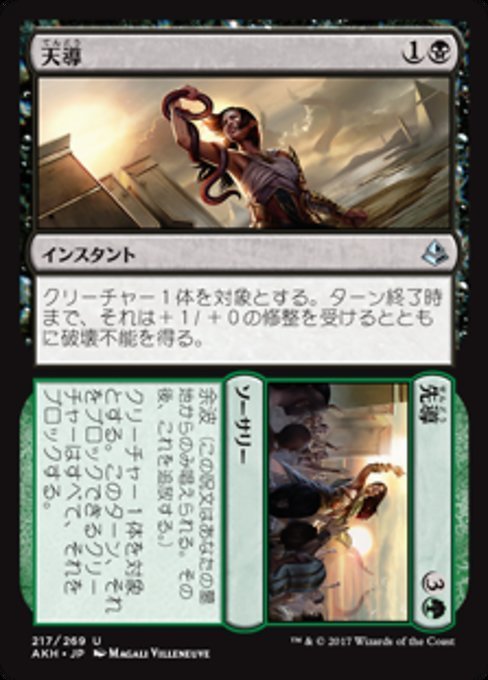 MTG ■金/日本語版■ 《天導+先導/Destined+Lead》★FOIL★ アモンケット AKH_画像1