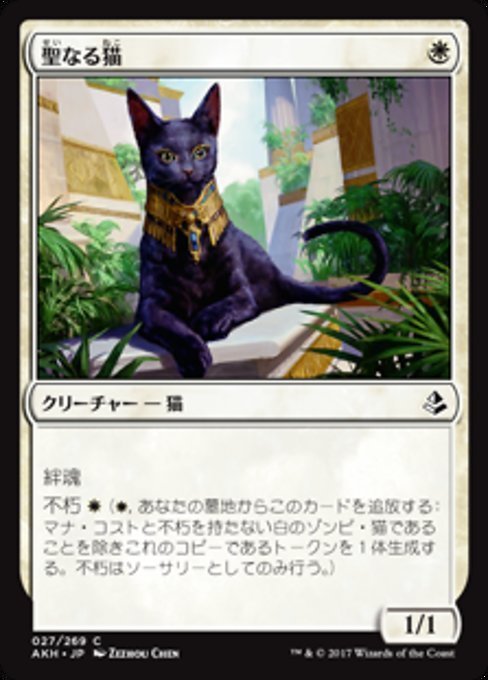 MTG ■白/日本語版■ 《聖なる猫/Sacred Cat》★FOIL★ アモンケット AKH_画像1